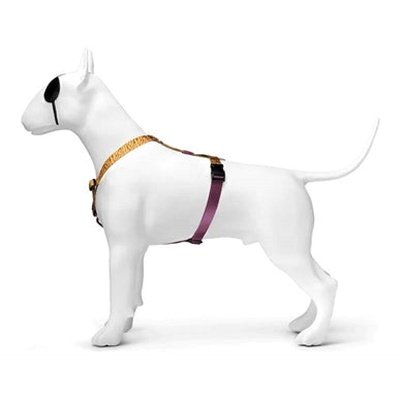 Morso Hundegeschirr H-Rig Recycelt Dschungel Trommel Orange